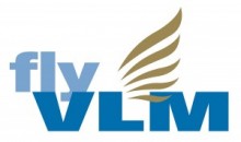 VLM logo